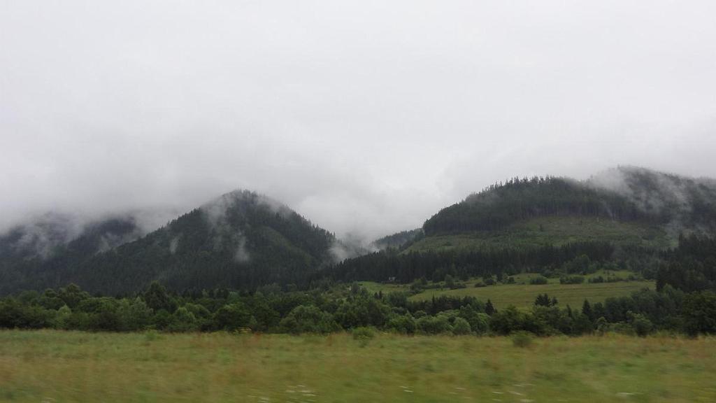 DSC07425.jpg