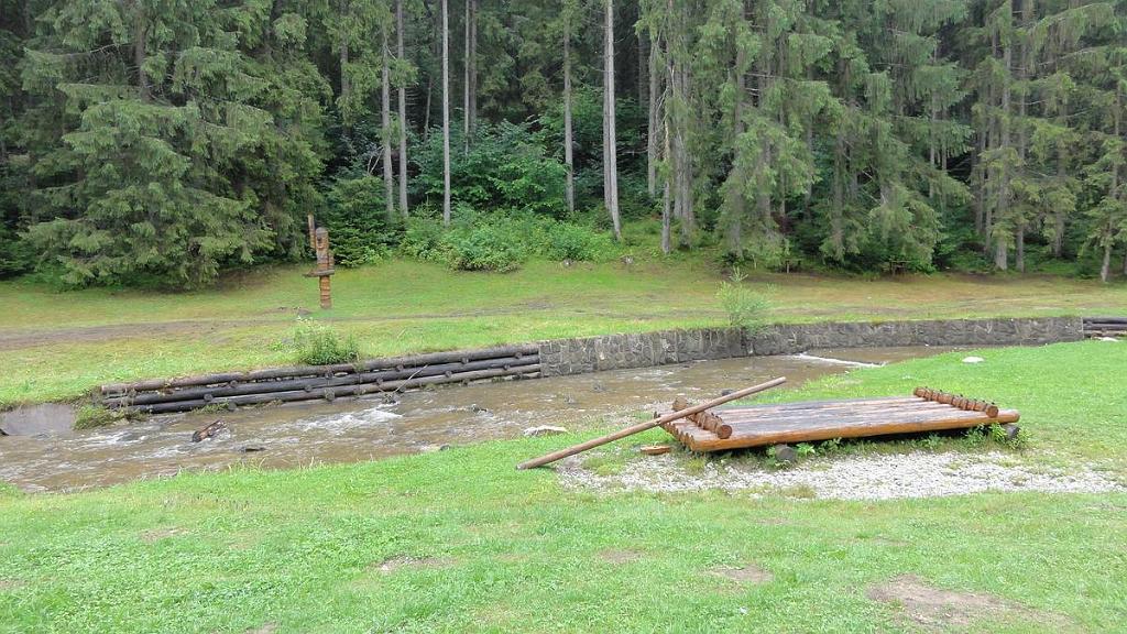 DSC07455.jpg