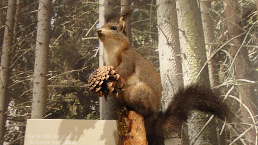 DSC07476.jpg