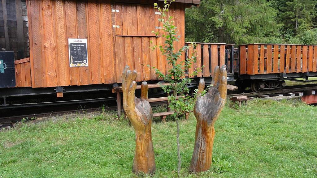 DSC07480.jpg