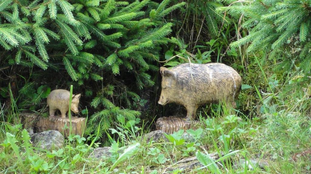 DSC07489.jpg