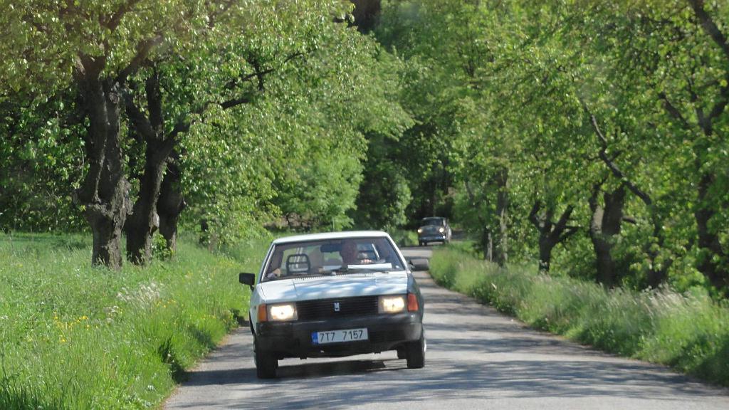 DSC03231.jpg