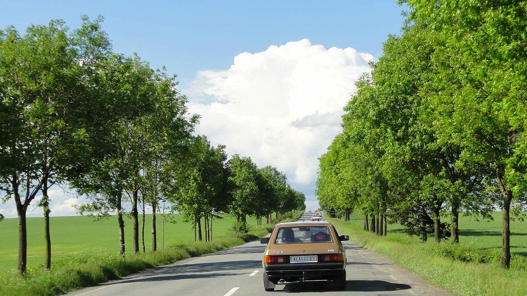 DSC03234.jpg