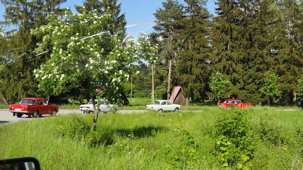 DSC03242.jpg