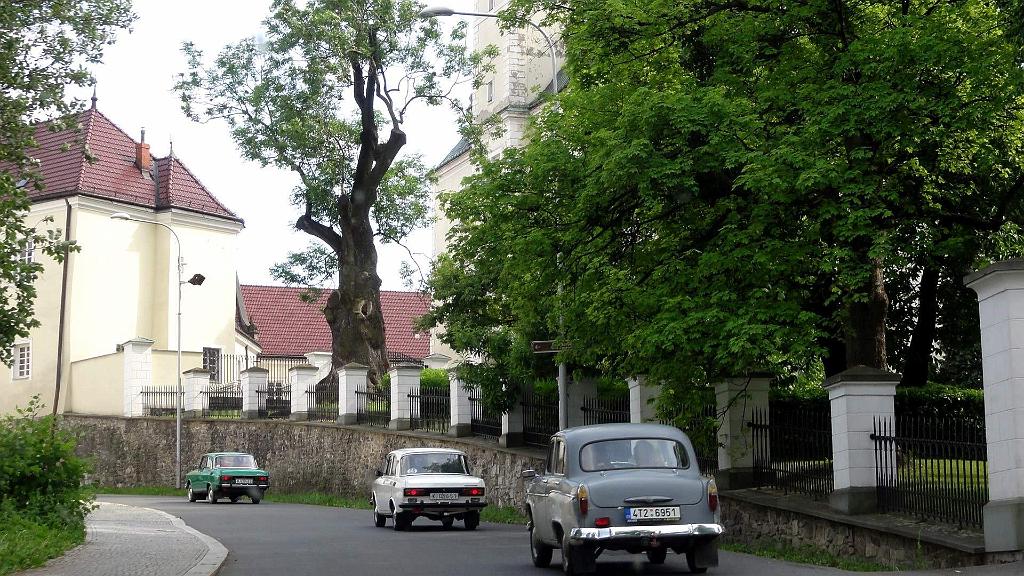 DSC06511_1.jpg
