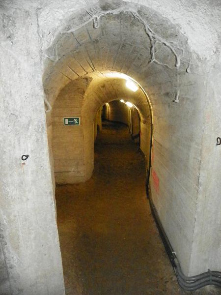 100_6805.JPG