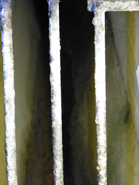 100_6811.JPG