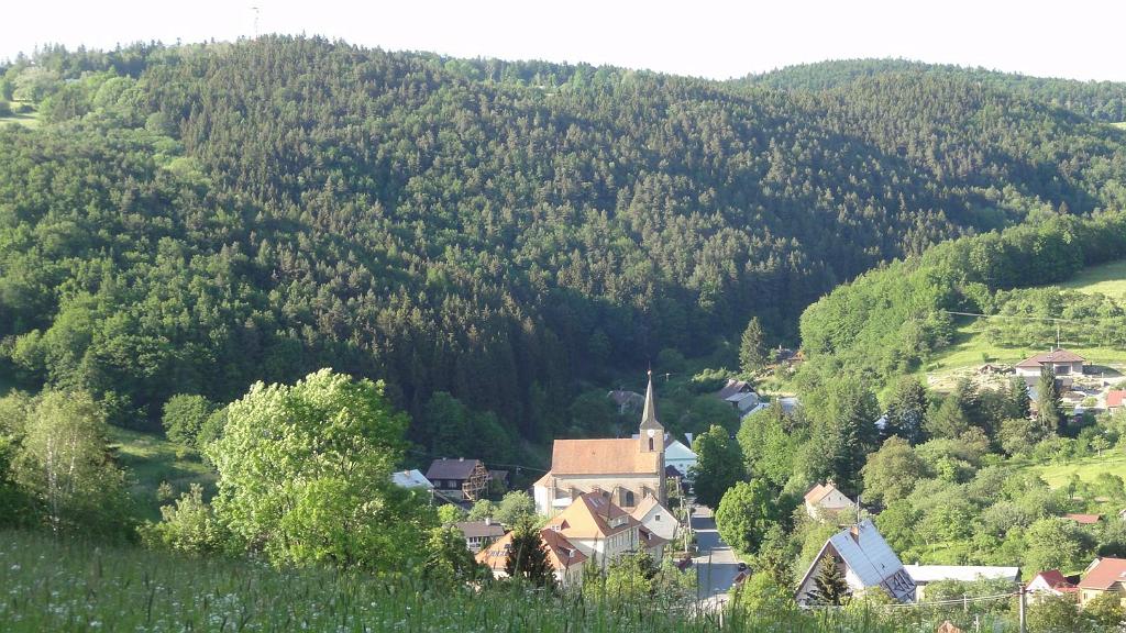 DSC04972.jpg