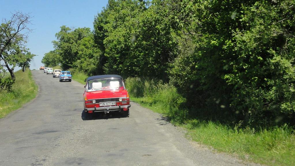 DSC05194.jpg