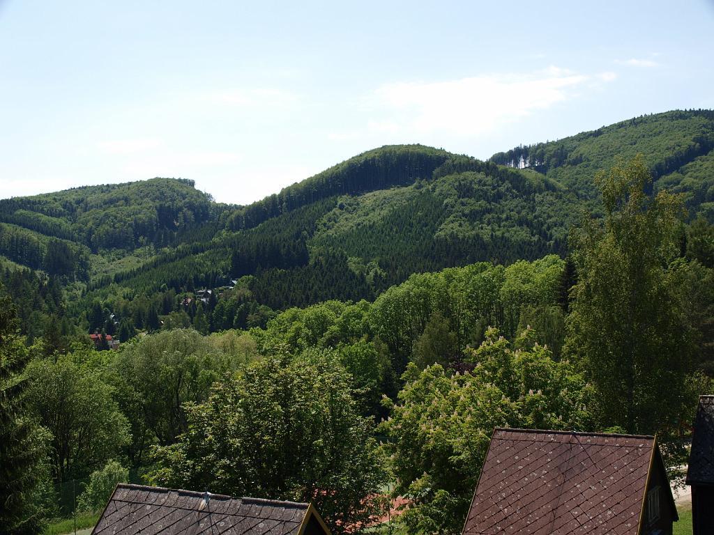 P6024355.JPG