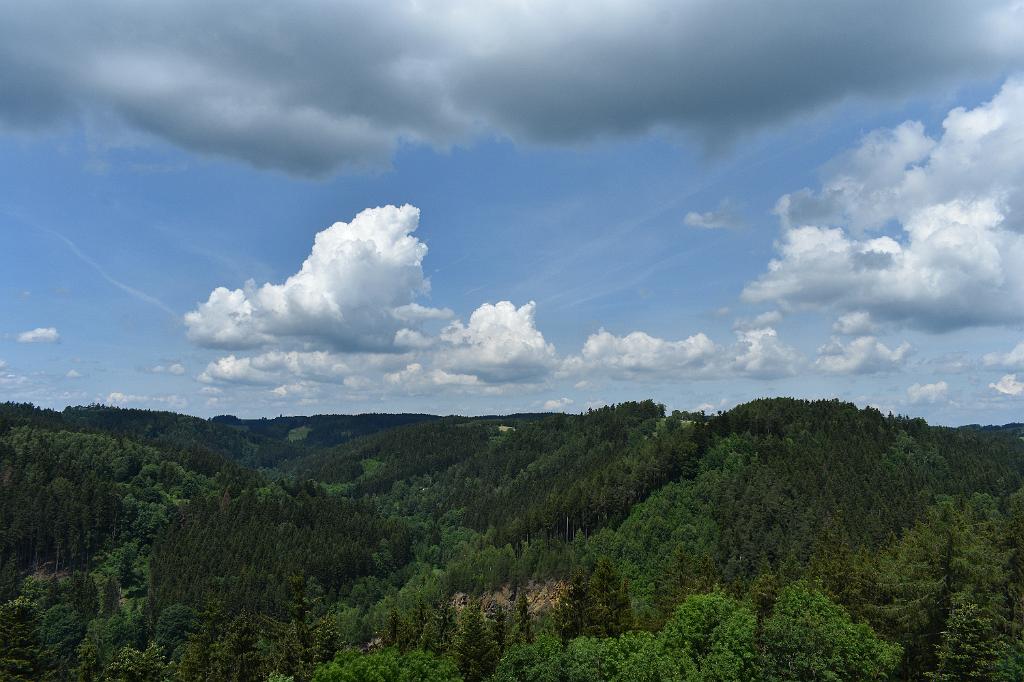 175.jpg
