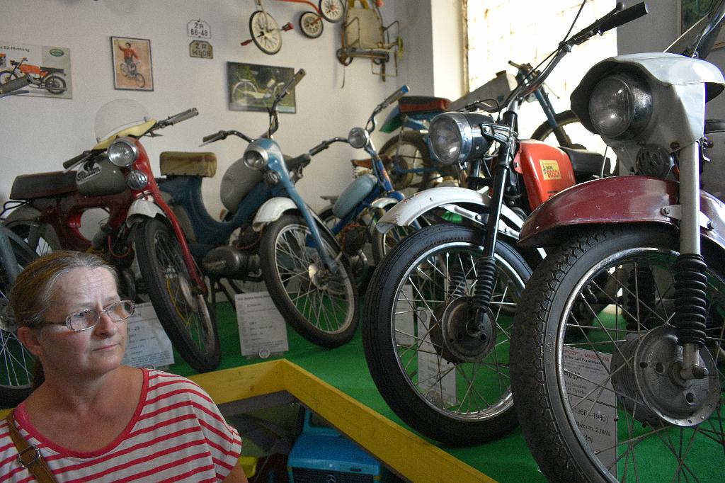 239.jpg