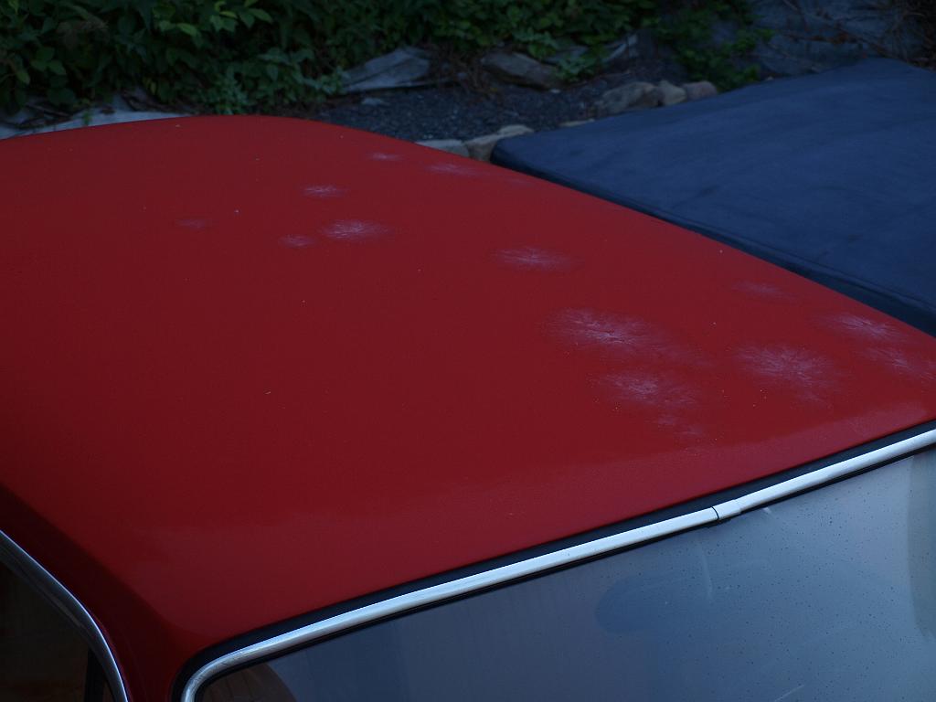 P5297359.JPG