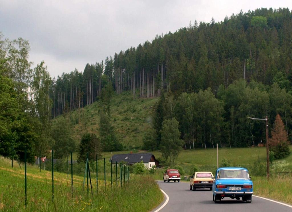 173.jpg
