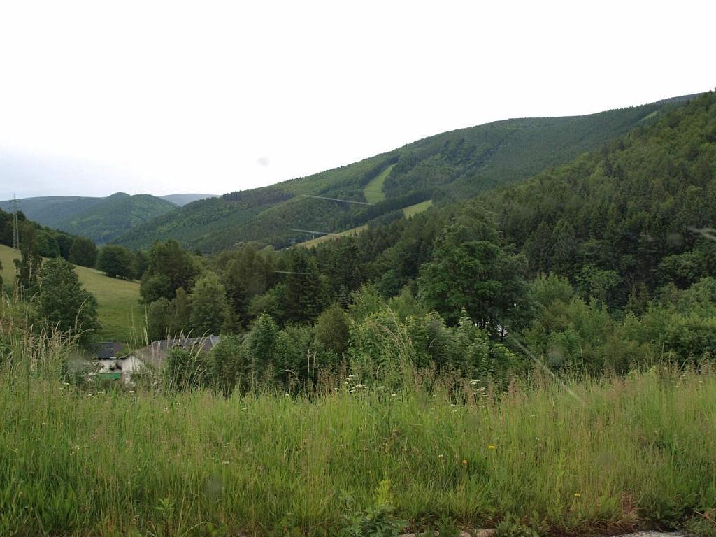 145.jpg